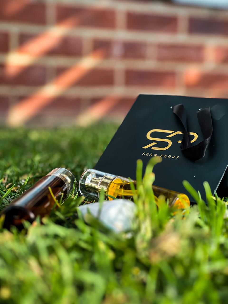 SEAN PERRY luxury slide 14