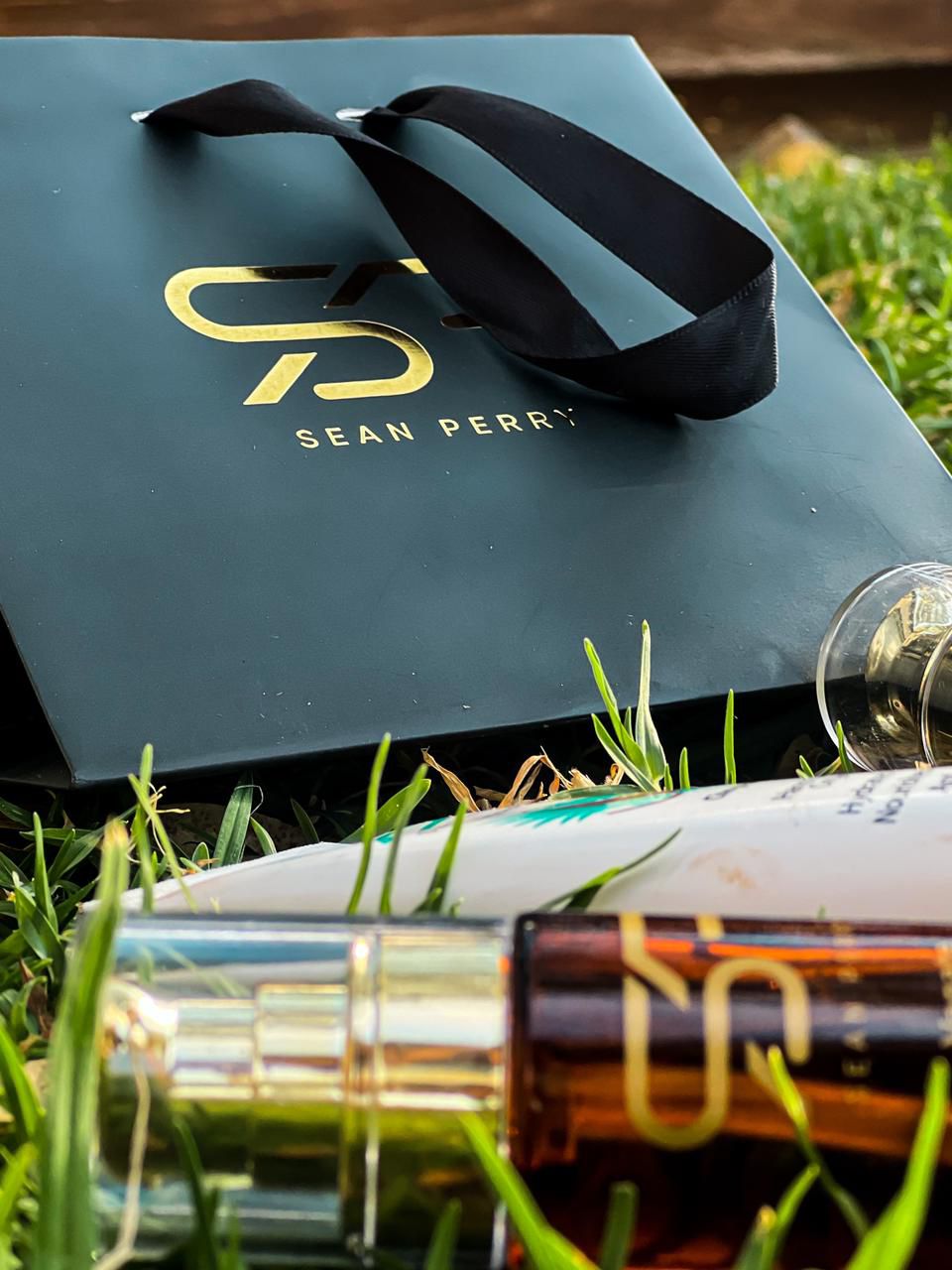 SEAN PERRY luxury slide 15